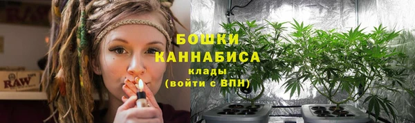 PSILOCYBIN Дмитров