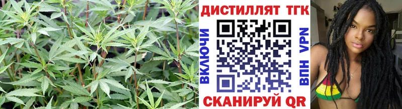 ТГК концентрат Котельнич