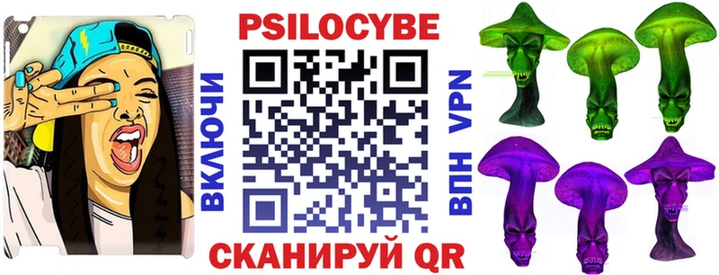 Купить закладки  Котельнич  Псилоцибиновые грибы Magic Shrooms 